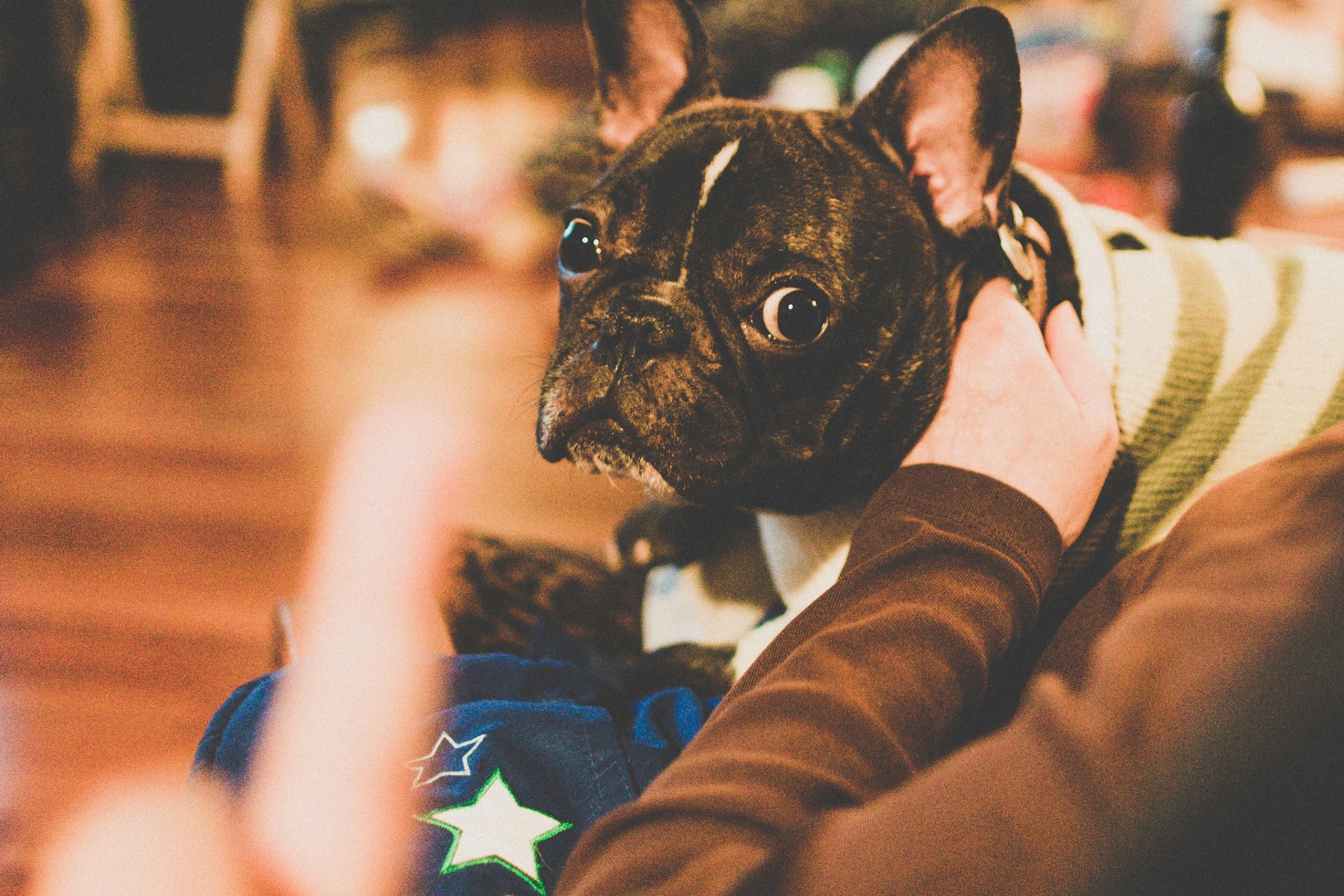 30 Perfect Responses For When Someone Says ‘F*ck You’