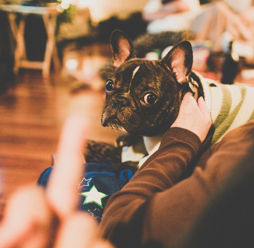 30 Perfect Responses For When Someone Says ‘F*ck You’