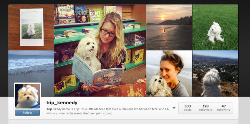 Don’t Give Your Dog An Instagram