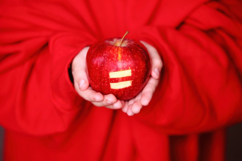 If Feminism Is About Equality, Why Do Feminists Oppose Equality?