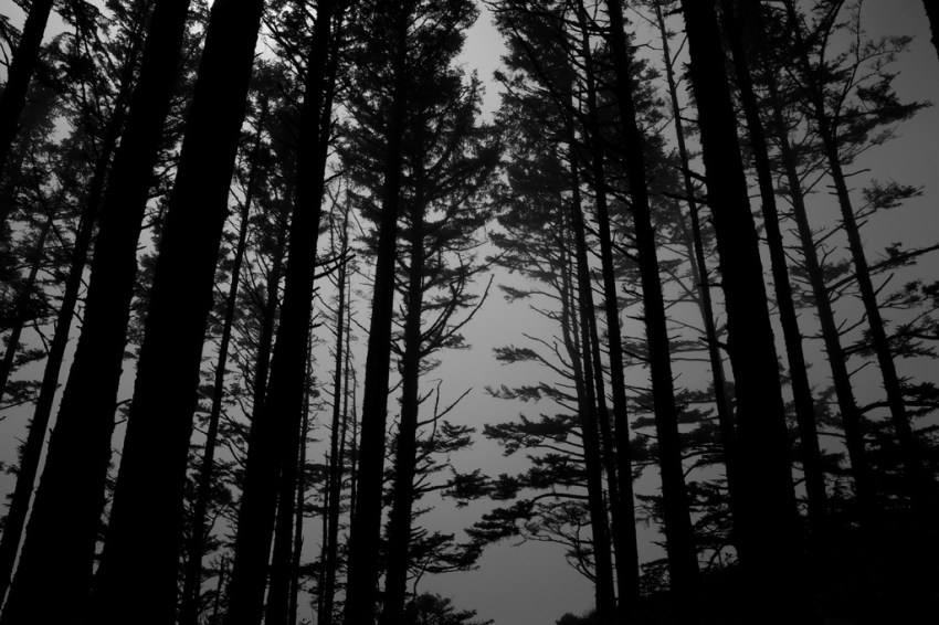 I Was Roommates With A Serial Killer And I Had No Idea Until A Couple Of Days Ago