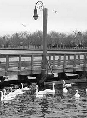 late july 74 july 26 ocean avenue bridge