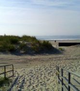 rockaway dune