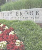 stony brook