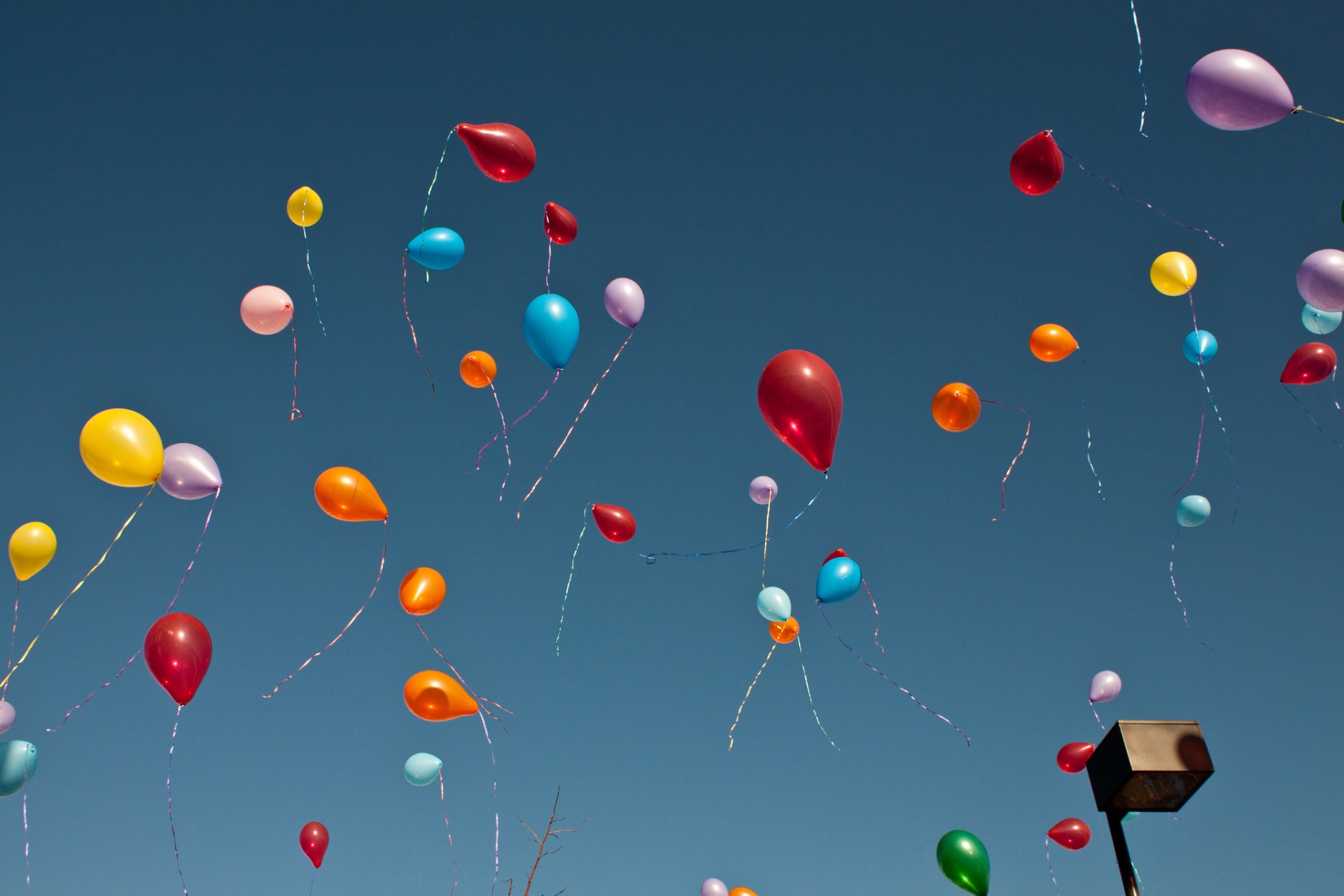 6 Untraditional Habits That Are Scientifically Proven To Make You Happier