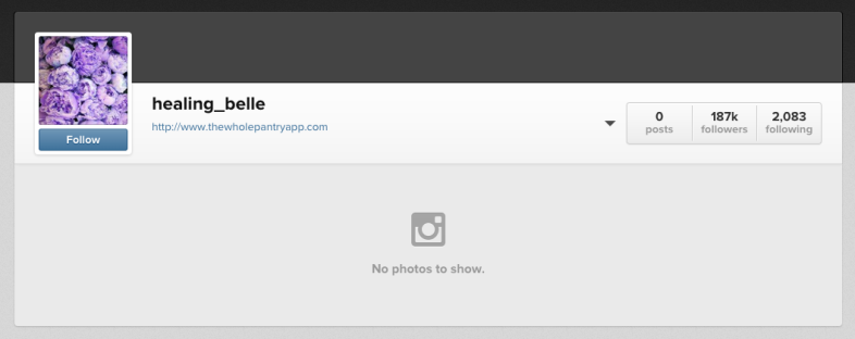 Gibson's now empty Instagram account.