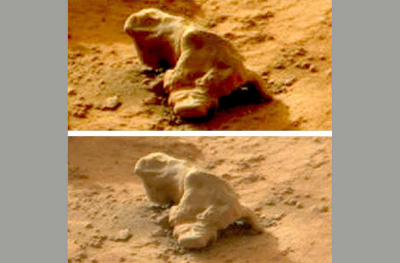 According to the Tumblr post, after NASA was made aware of the "iguana" and refused to turn the rover around to investigate further, "some began to wonder if NASA were purposefully planting life on the Red Planet."