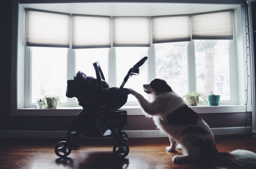 17 Nurses And Parents Tell Their ‘You’re Not Actually The Father’ Stories