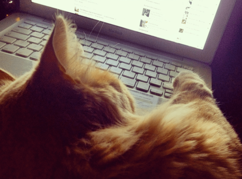 20 Things People With Low Self-Esteem Do