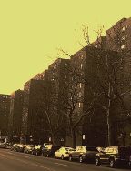 stuy town in winter