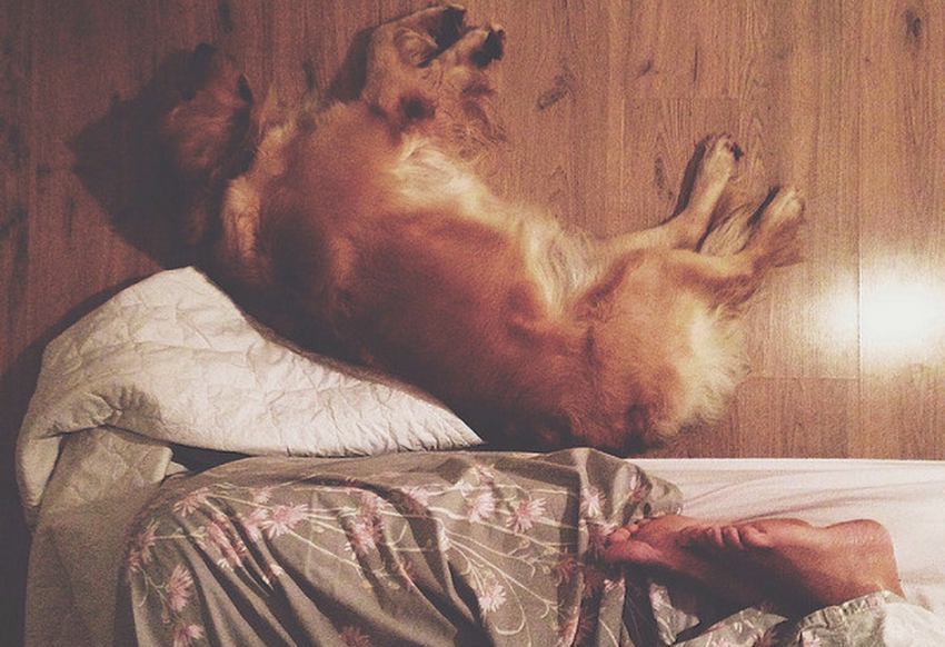 This Is How You Lost Me