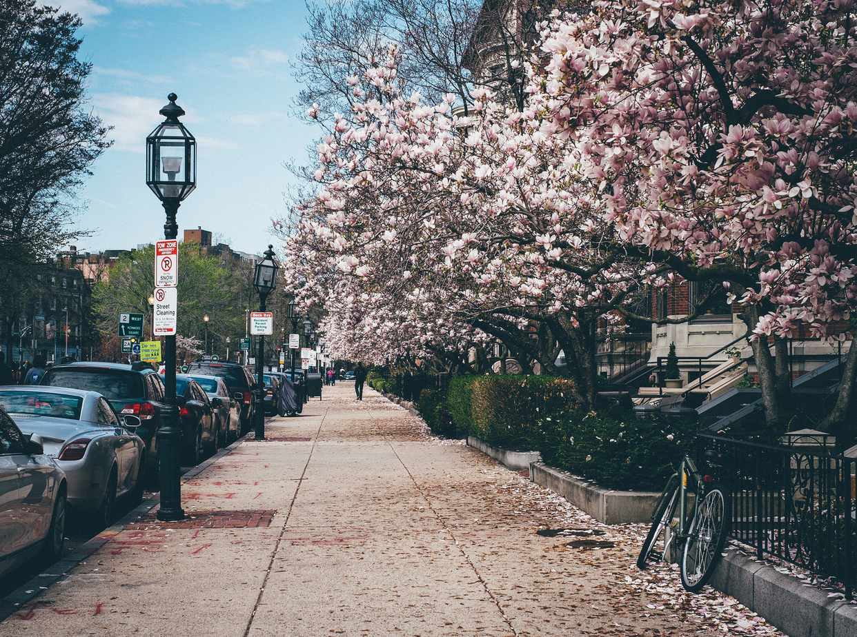 The 100 Greatest Quotes About Spring