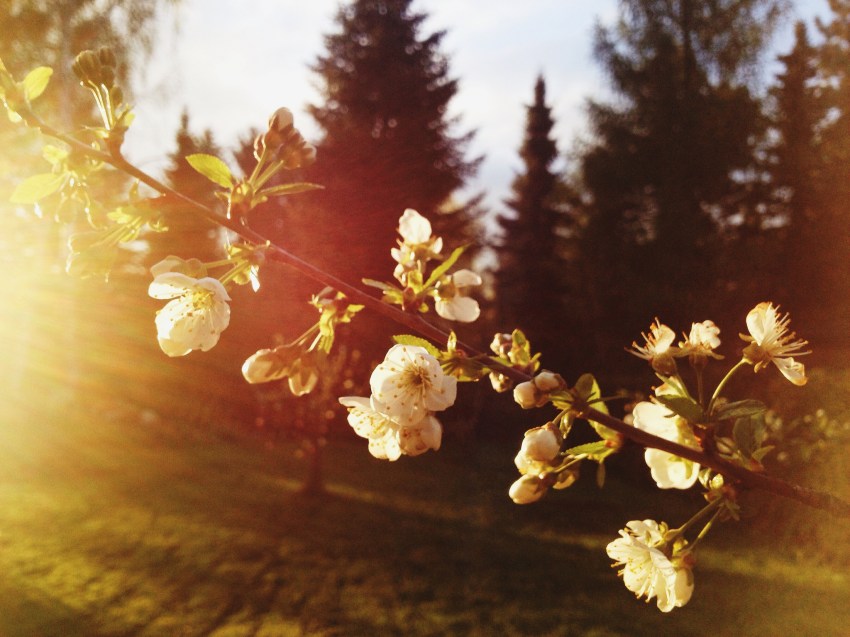 If They Leave You, You Must Let Them Go