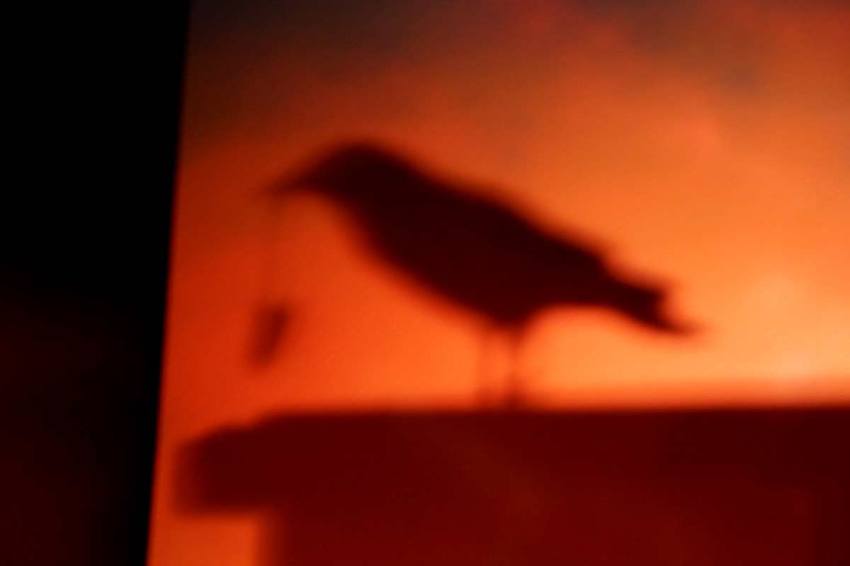 11 Girls Share The Most Humiliating (And Hilarious) Tampon Stories Ever