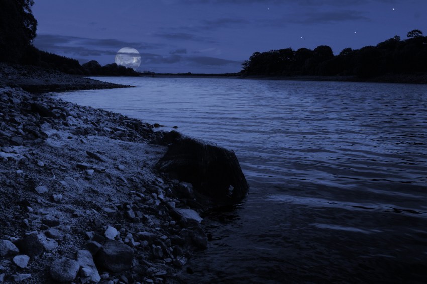 While Out Camping, I Investigated A Half-Sunken Dock Near The Bank Of A Lake