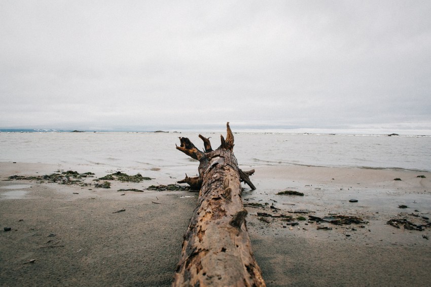 Read This If You’re Feeling Betrayed By Your Boyfriend Or Girlfriend