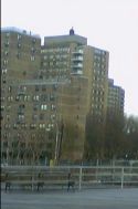 coney island houses