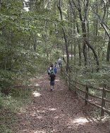 garvies point trail