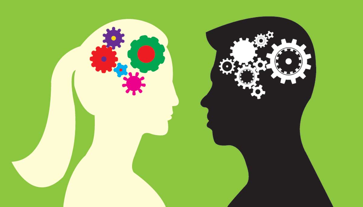 13 Real Differences Between Male And Female Brains