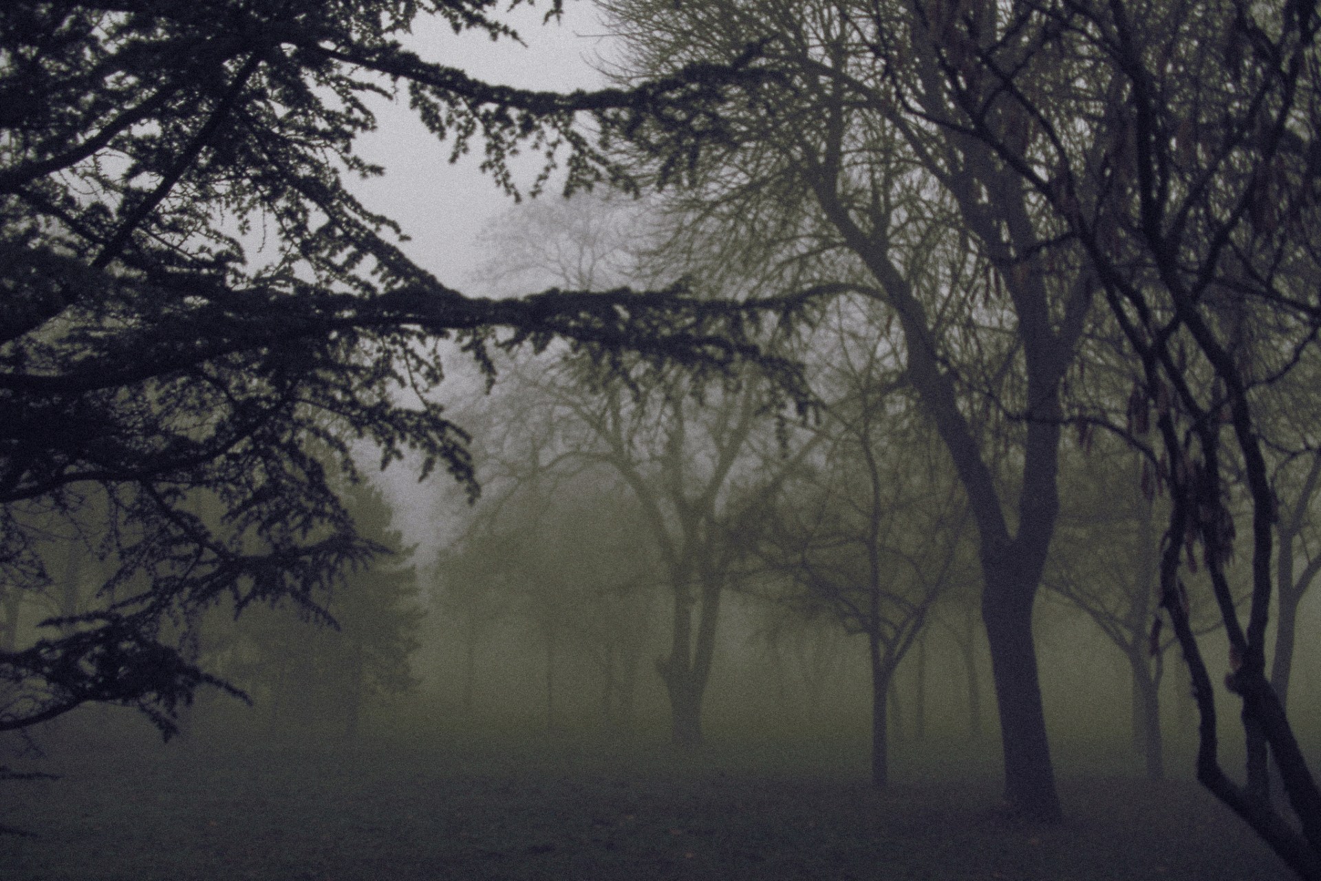 9 Of The Creepiest Encounters That Have Ever Happened In The Wilderness