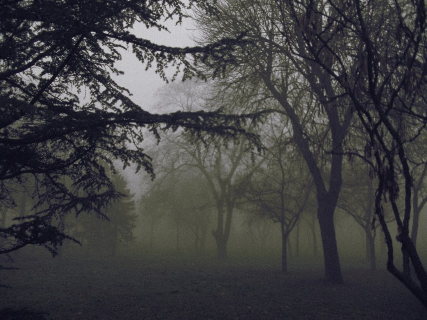 9 Of The Creepiest Encounters That Have Ever Happened In The Wilderness