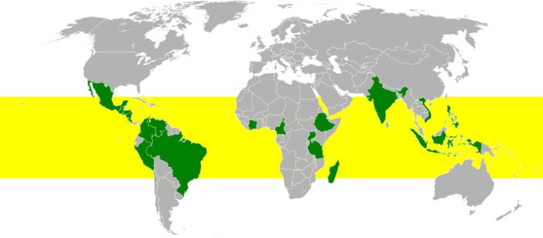 The Global "Coffee Belt" (Wikimedia Commons) 