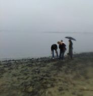 brooklyn ransom beach in rain