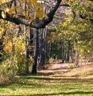 Hempstead Lake State Park 2