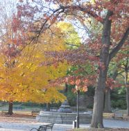 prospect park fall