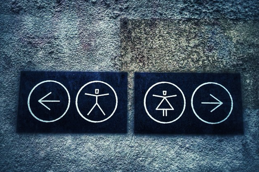 14 Bisexual Women Answer: “Which Is Better — Penises Or Vaginas?”