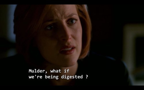  The X-Files