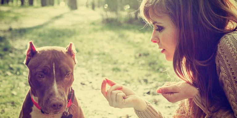 10 Reasons Why The Only Male You Should Chase Is Your Dog