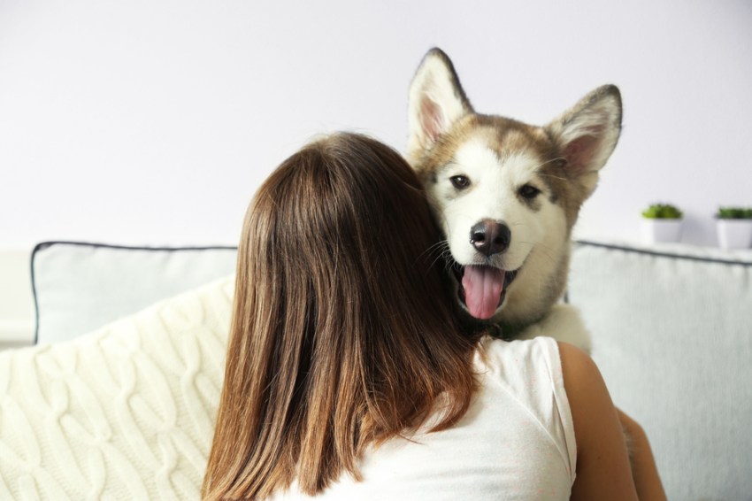 17 Signs You’re An Overly Attached Pet Owner