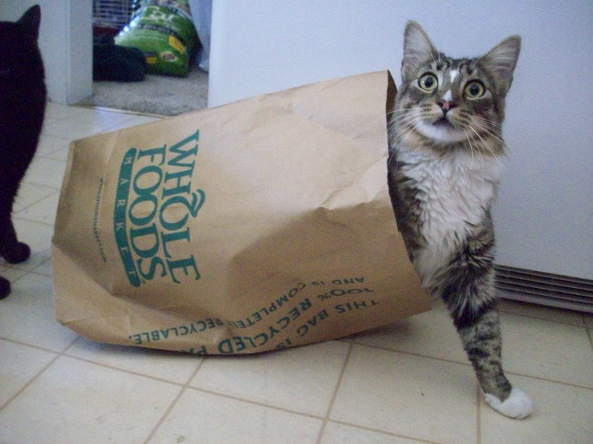 25 Hilarious Conversations Overheard At Whole Foods