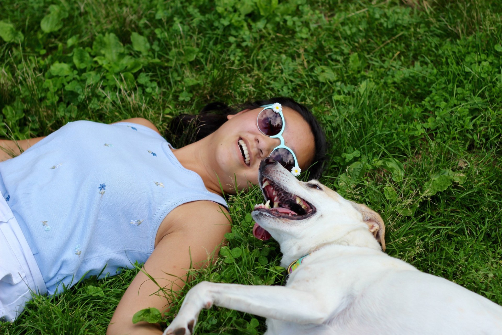 14 Ways Your Dog Is Better Than Any Boyfriend You’ll Ever Have