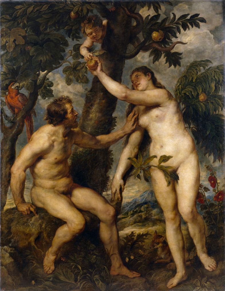 Adam and Eve a painting by Peter Paul Rubens.