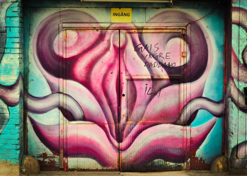 15 Men Describe The Perfect Vagina