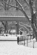 central park snow