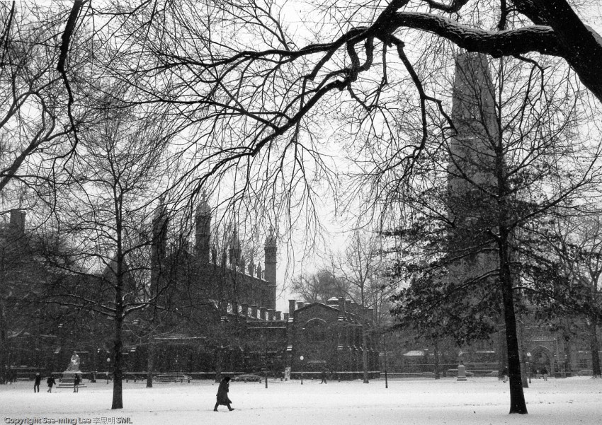 I Noticed A Pattern In Our Workplace Accident Reports, But Nothing Could Have Prepared Me For What I Found