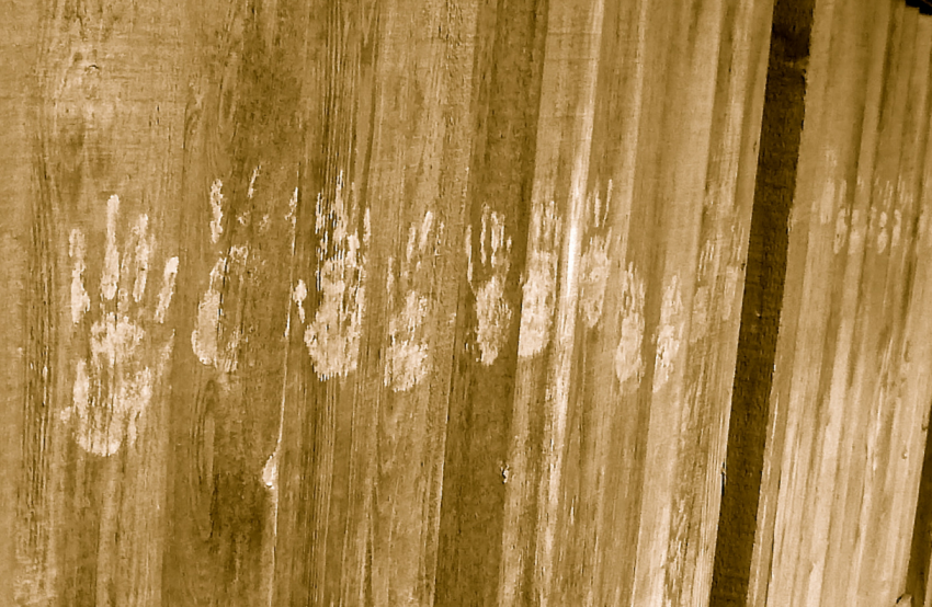 After Being Terrorized For Months, I Finally Came Face-To-Face With What Left Handprints On My Porch