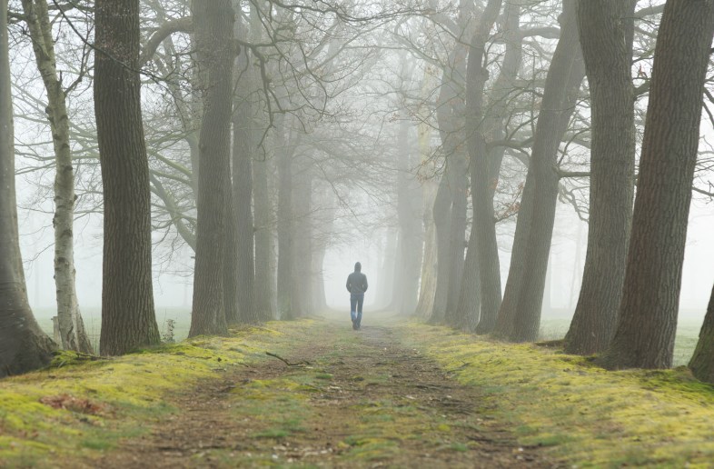 Shutterstock / Sander van der Werf