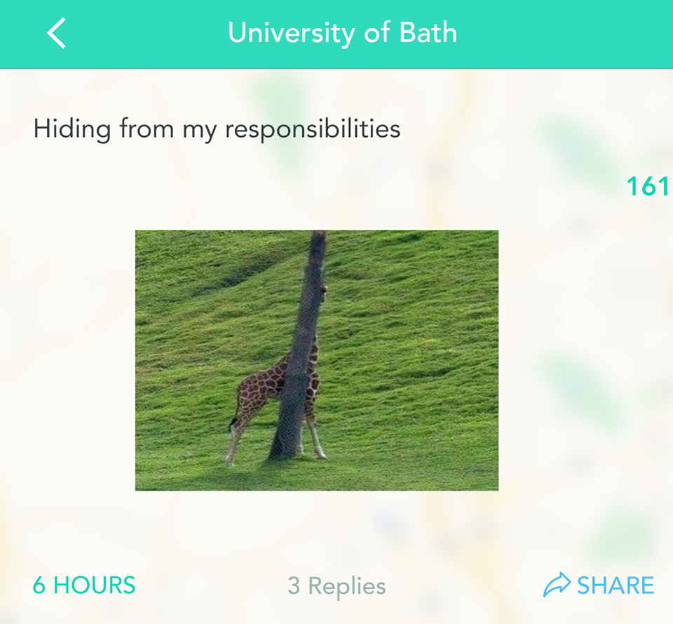 Facebook / Yik-Yak