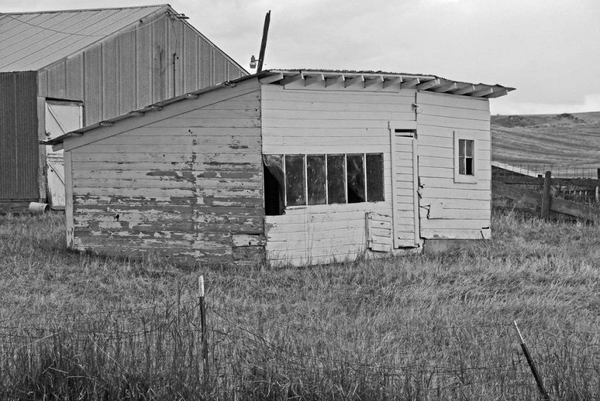 There’s Something Weird About The Chicken Coop On Our Farm: Part Two