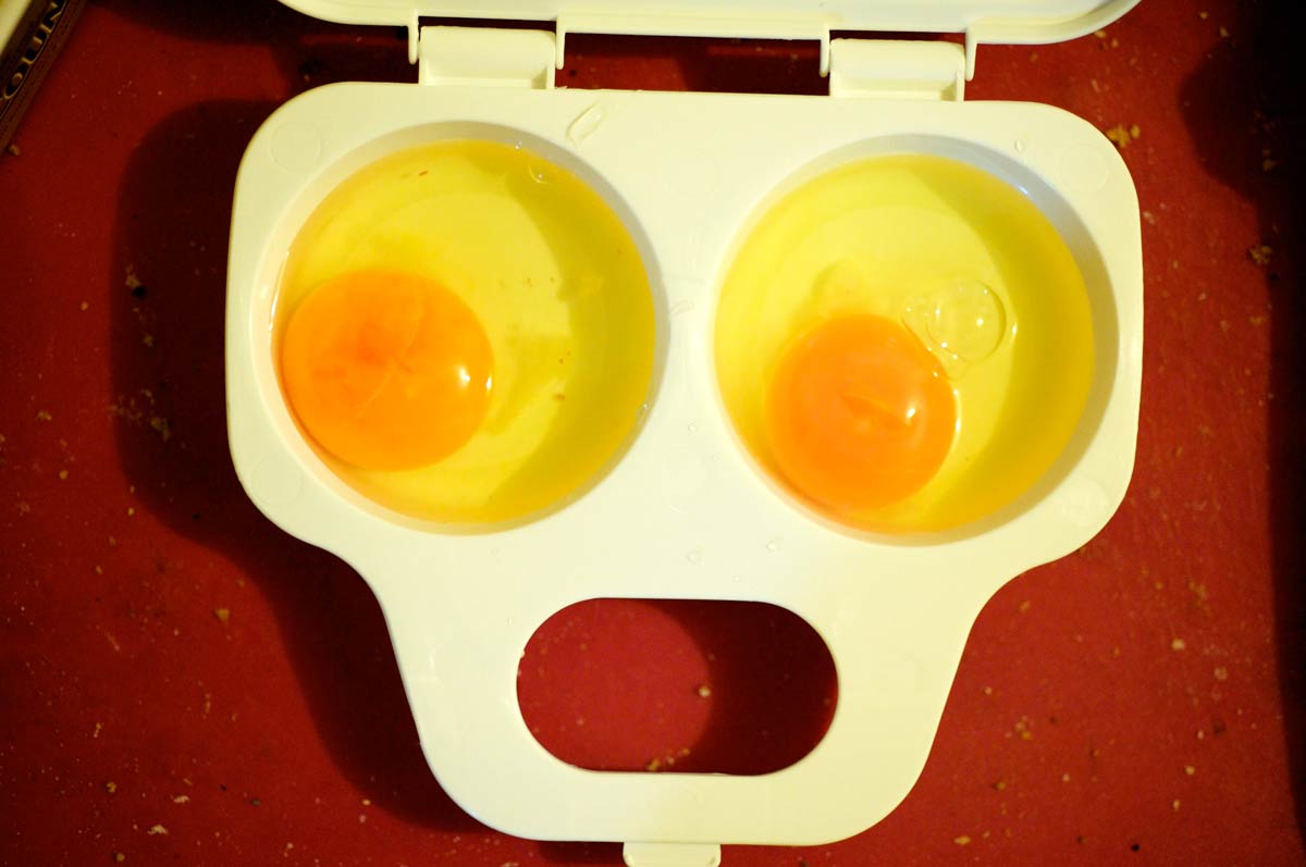 WTF Did I Just See?: 14 People Describe The Most Shocking Thing They’ve Ever Witnessed With Their Own Eyes