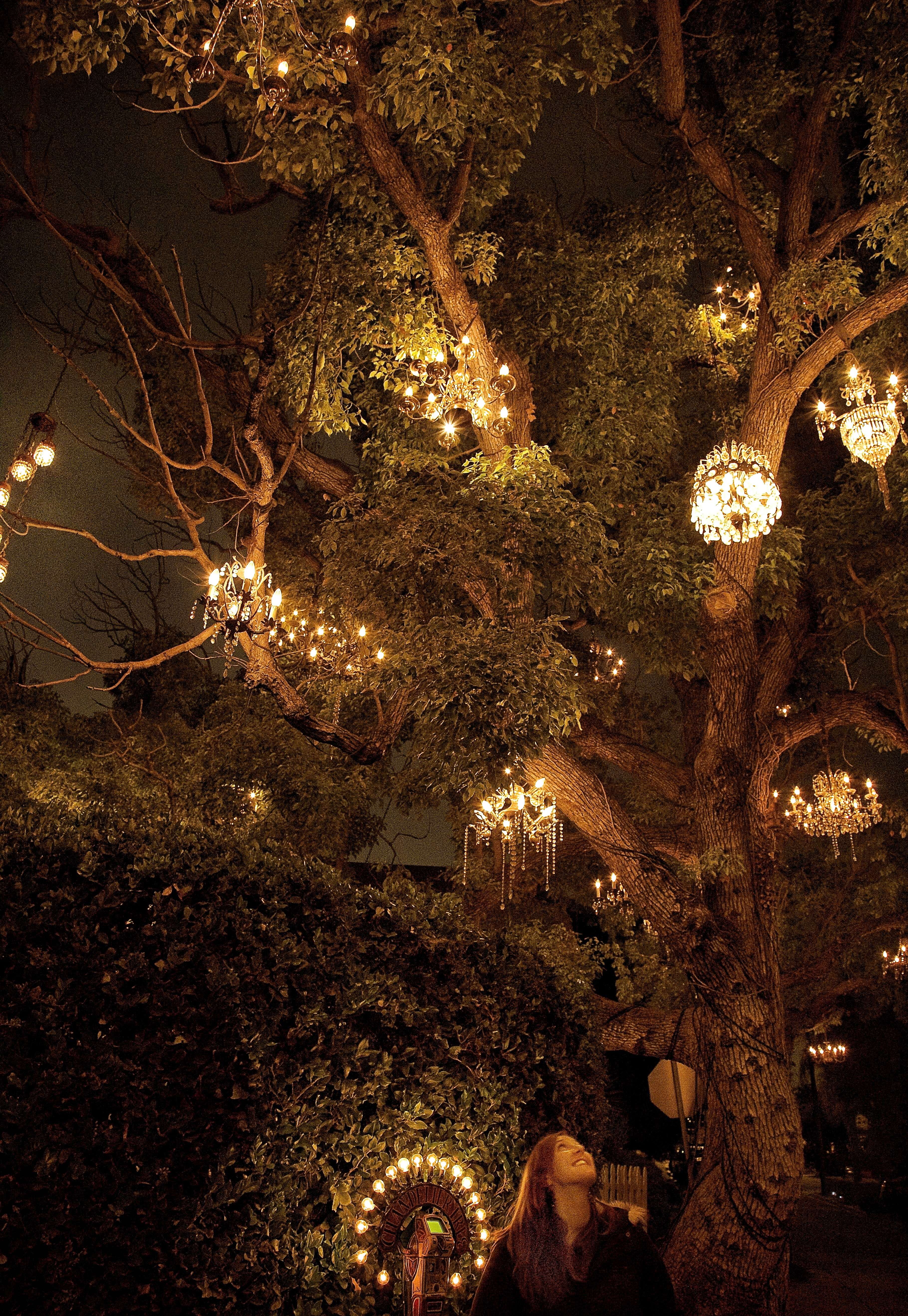 5. Chandelier Tree