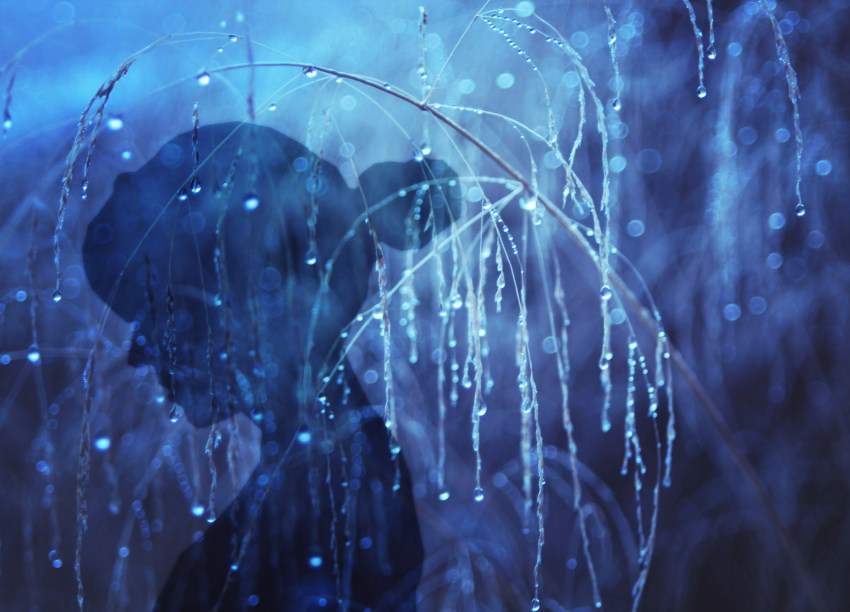 9 Confessions From A Skinny Girl With An Eating Disorder