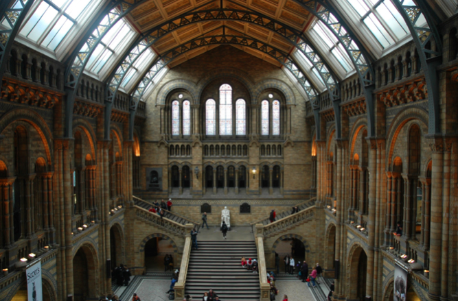 Natural History Museum in London