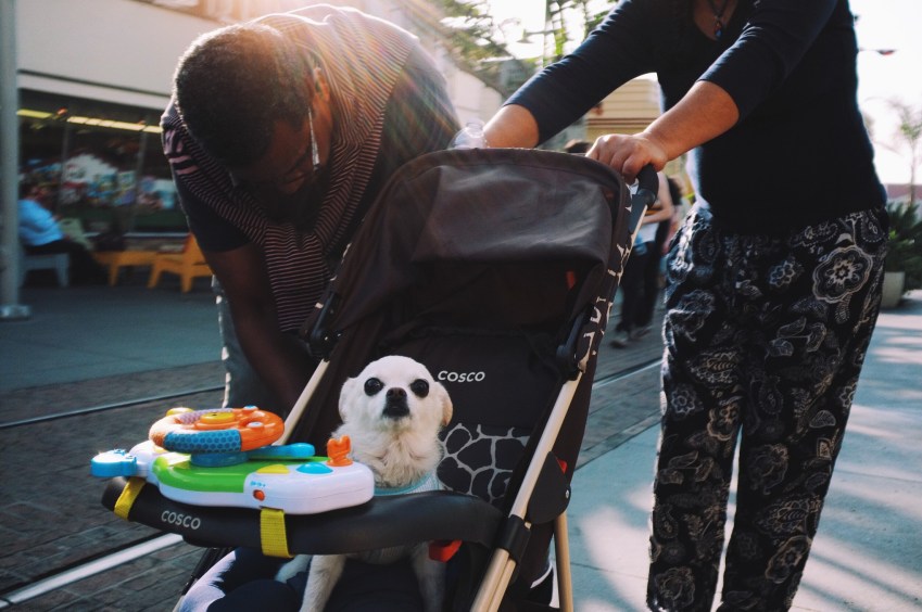 11 Mindblowing Cases Of Baby Swapping That Really Happened