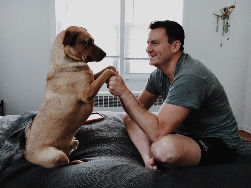 This Is How You Know If Your Dog Loves You As Much As You Love Them