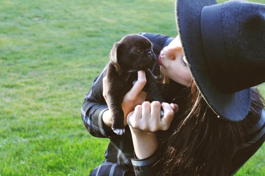 To My Fellow Late Bloomers